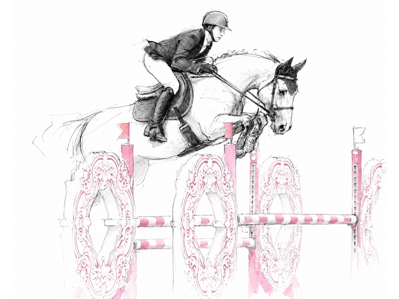 JEUNE CHEVAL AVEC POTENTIEL